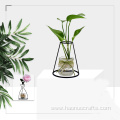 transparent hydroponic flower vase decoration ornaments